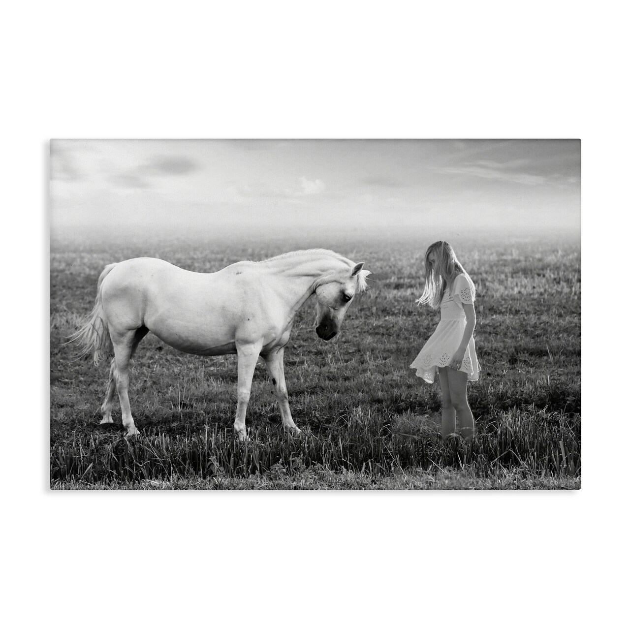 Stupell Industries Her White Horse Canvas, design by Ata Alishahi